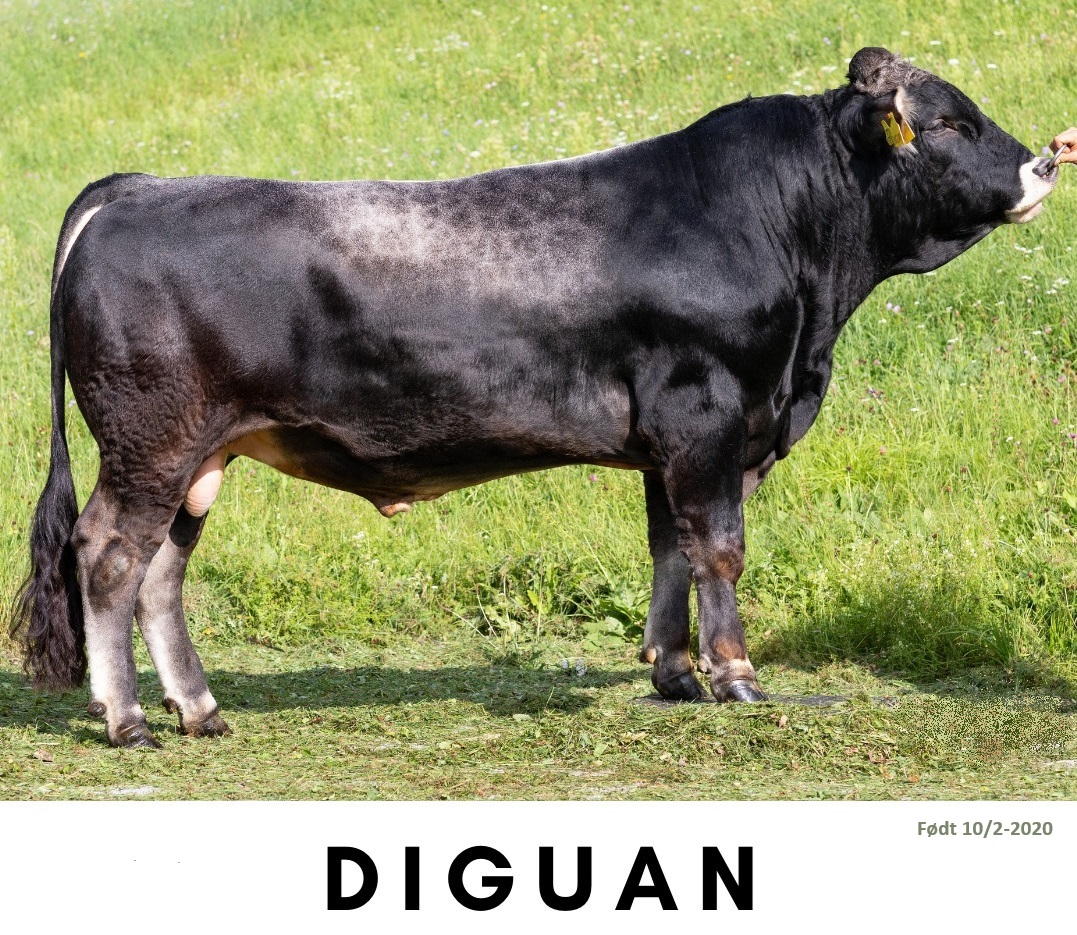 Diguan
