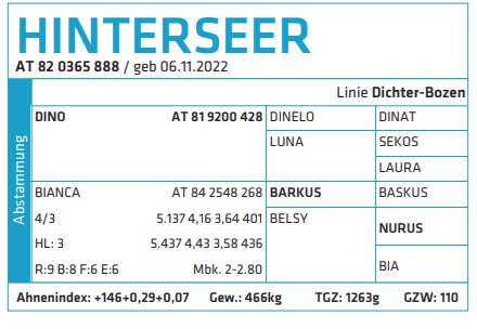 Hinterseer - nøgletal og statistik