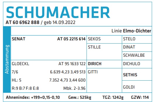 Schumacher - nøgletal og statistik