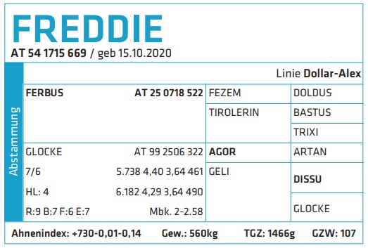 Freddie - nøgletal og statistik