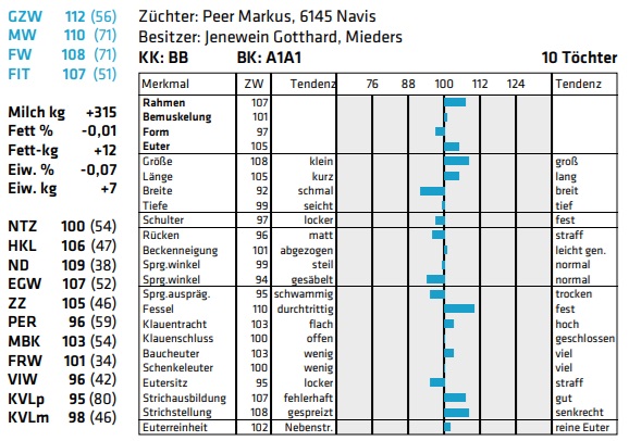 Basso - nøgletal og statistik