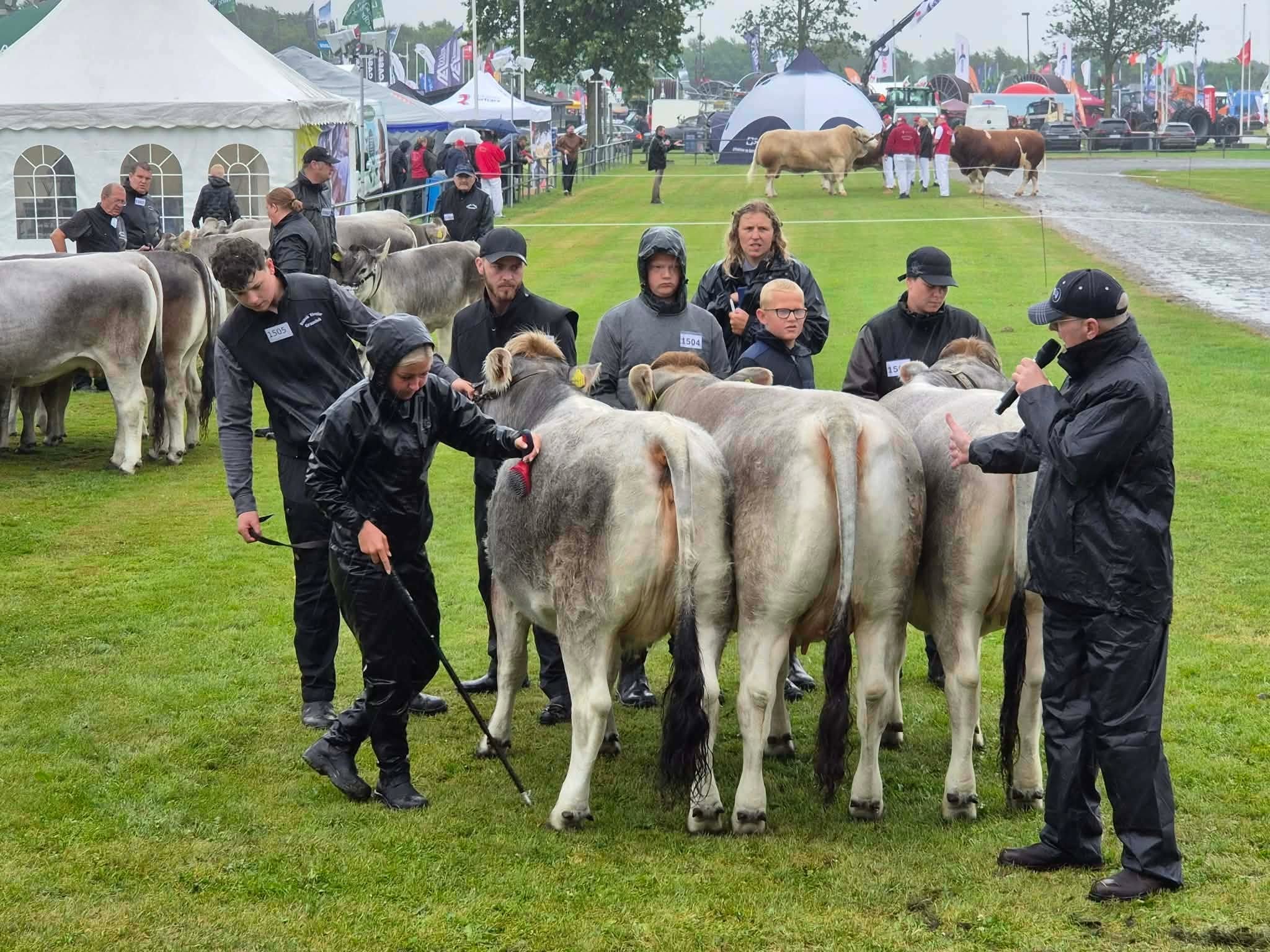 Landsskuet 2026