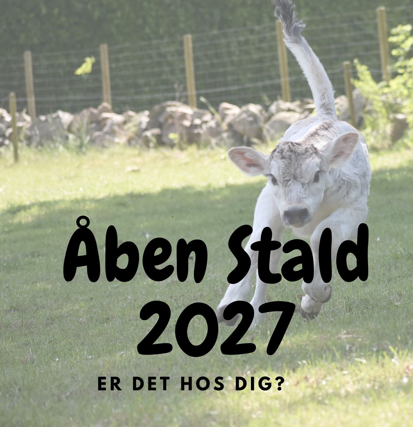 Åben Stald 2027 - Skal det være hos dig?